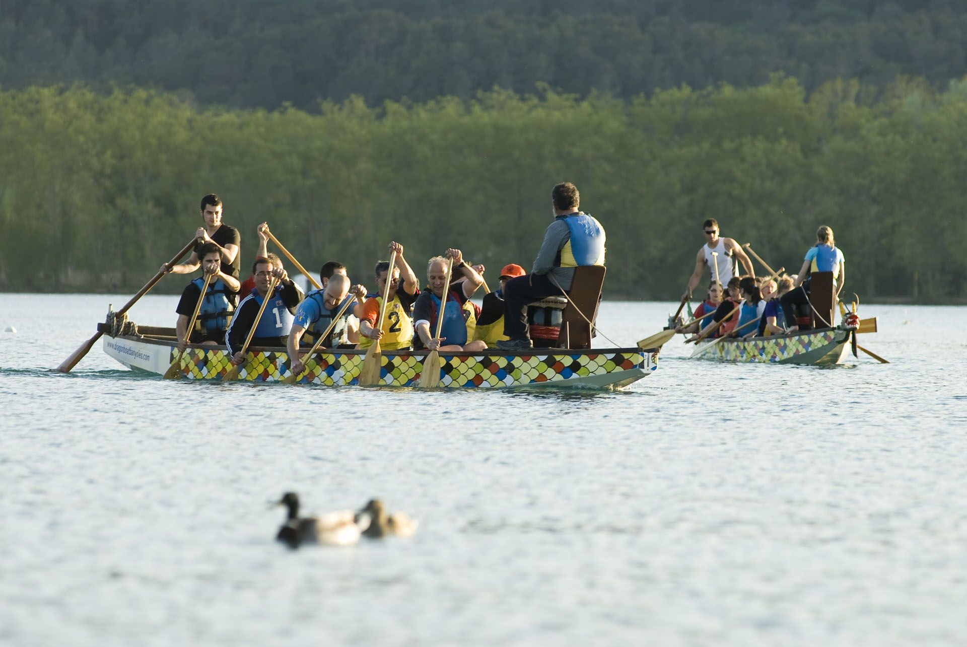 Dragon Boat por equipos