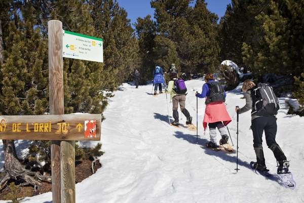 Excursión con raquetas de nieve