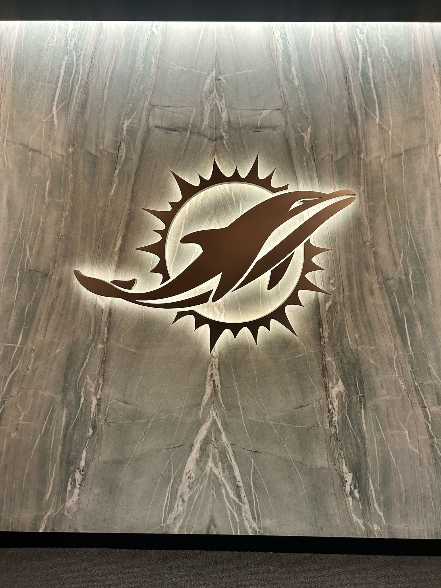 Logotipo de los Miami Dolphins